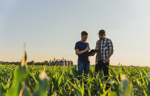 New FSA Rules Expand Eligibility for Farm Program Payments
