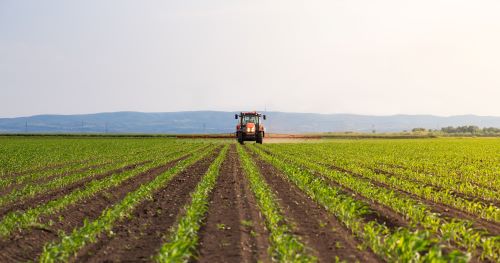What the New Tariffs Mean for New York Farmers