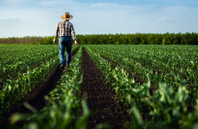 What’s the New Farmer Bridge Assistance Program?